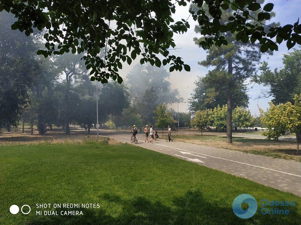 В одесском парке вспыхнул пожар (видео)