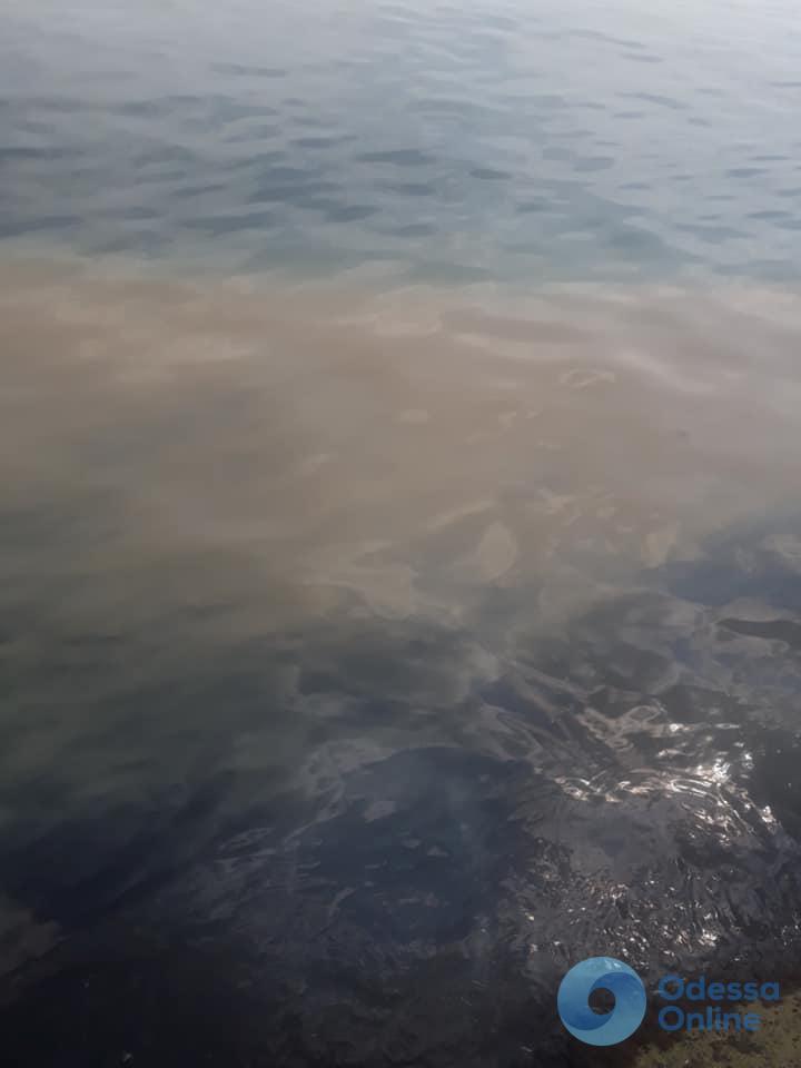 Одесский дельфинарий «Немо» сливает в море нечистоты (видео)