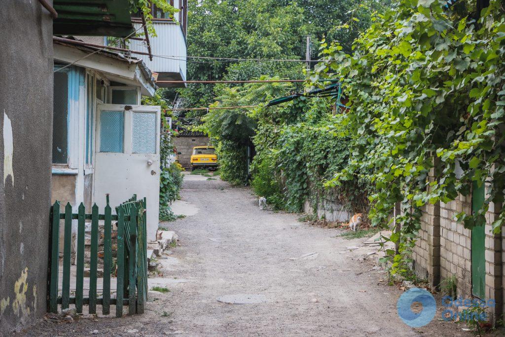 Атмосфера летней Молдаванки: дом с одной стеной и старожилы дворов 