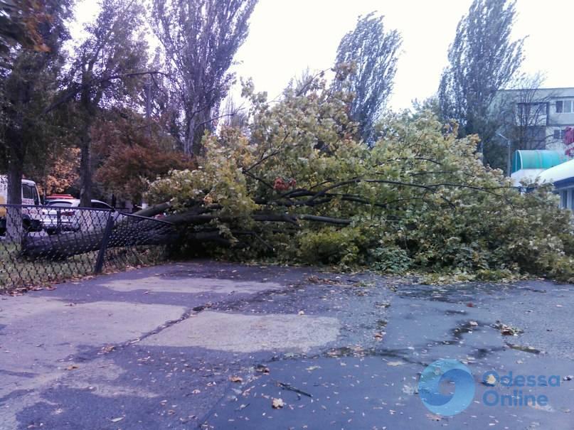 Одесская область: в Николаевке прошел сильный ливень