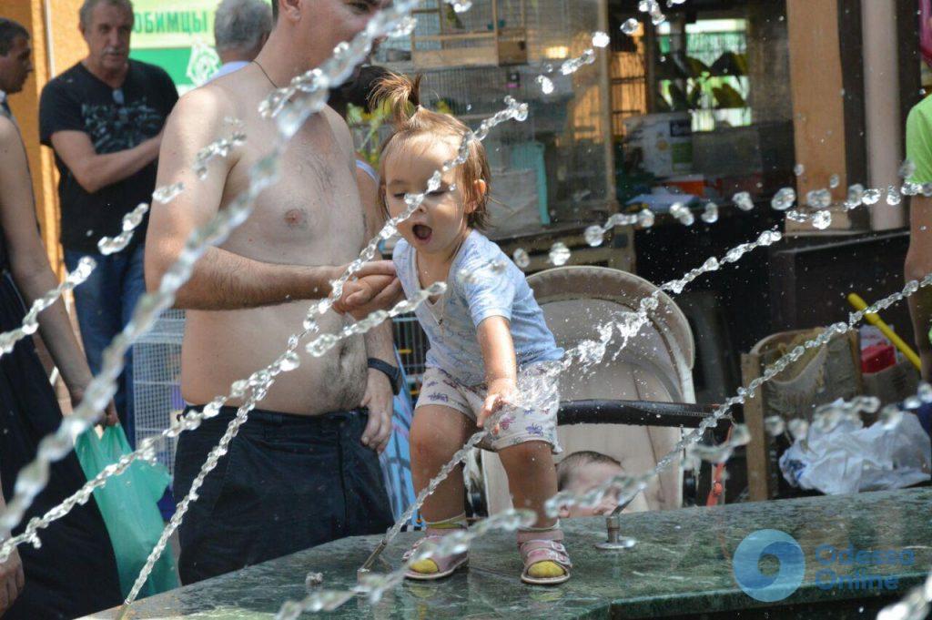 Совы по 2000, а Ленин – 700: летний фоторепортаж с одесской Староконки