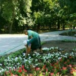 В парке Победы высадили около 2500 цветов