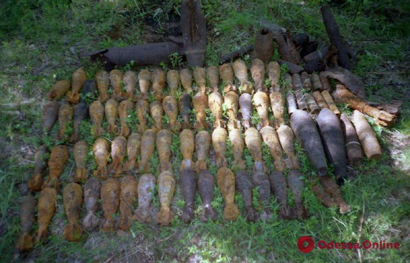Одесская область: уничтожены 162 минометные мины