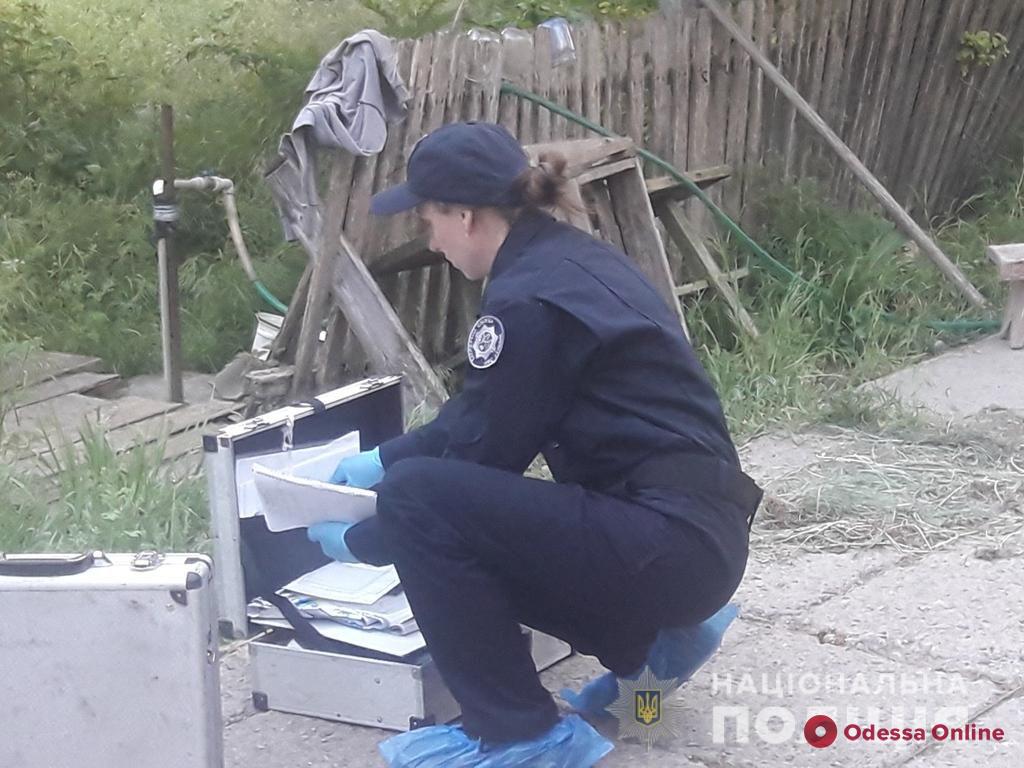 Под Одессой пенсионера убили из-за ТВ-тюнера