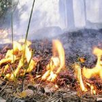 Одесская область: синоптики предупреждают о чрезвычайной пожарной опасности