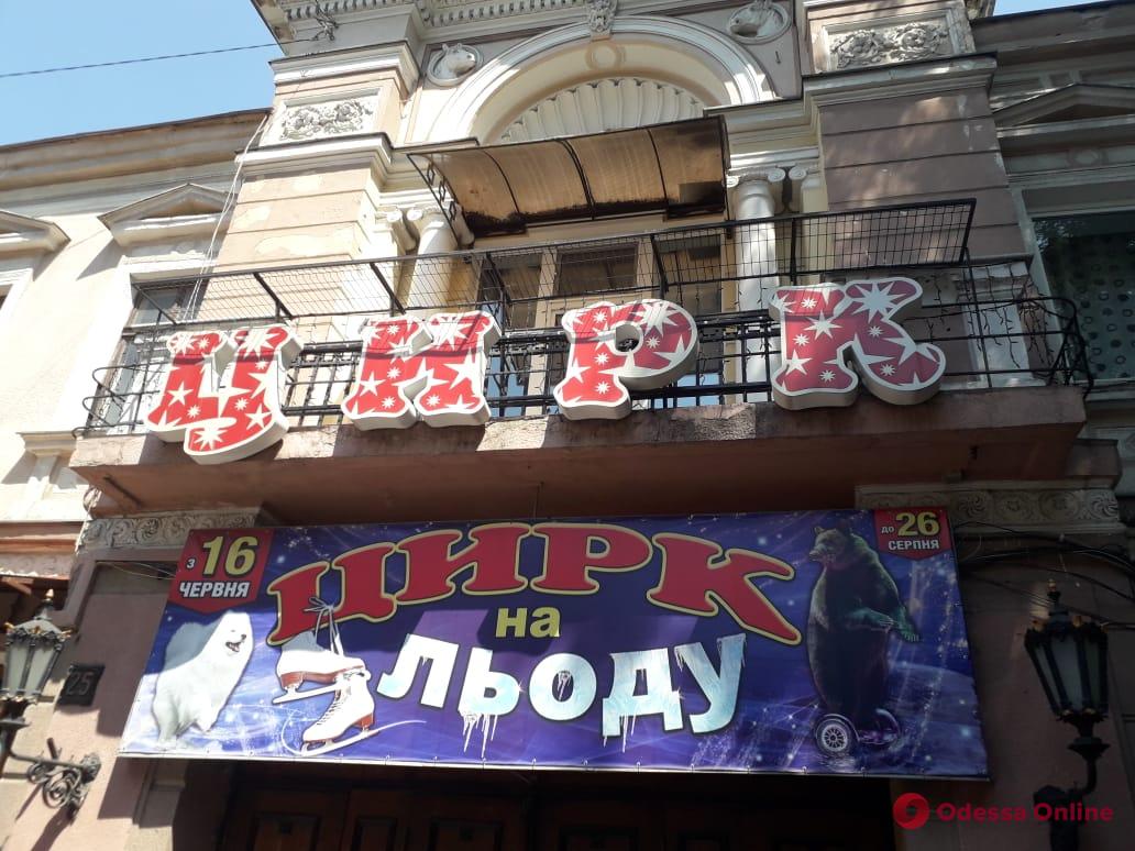 Белорусским медведям запретили выступать в Одессе