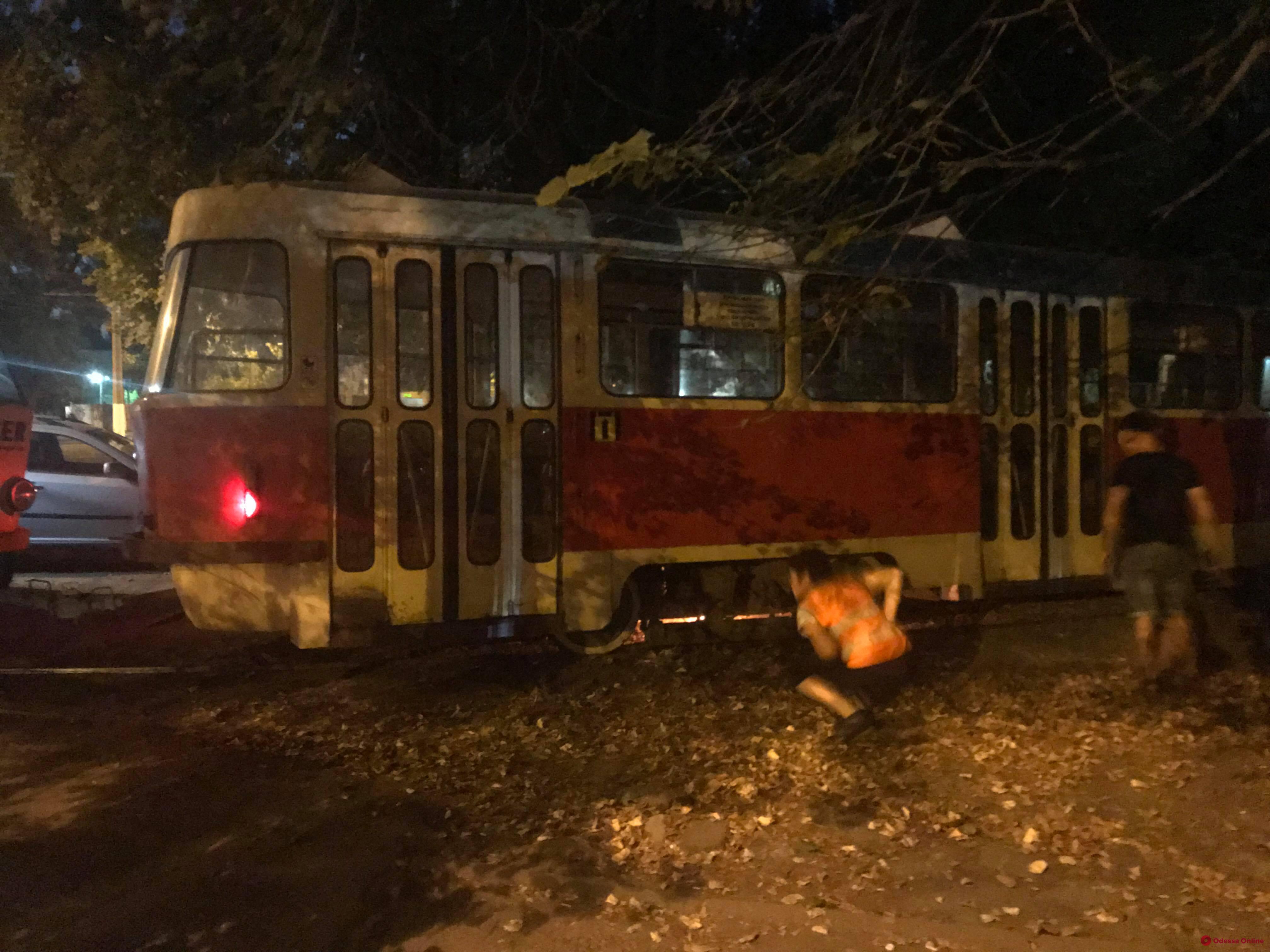 Из-за поломки вагона на Люстдорфской дороге стояли трамваи