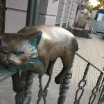 У офисного кота на Большой Арнаутской оторвали хвост