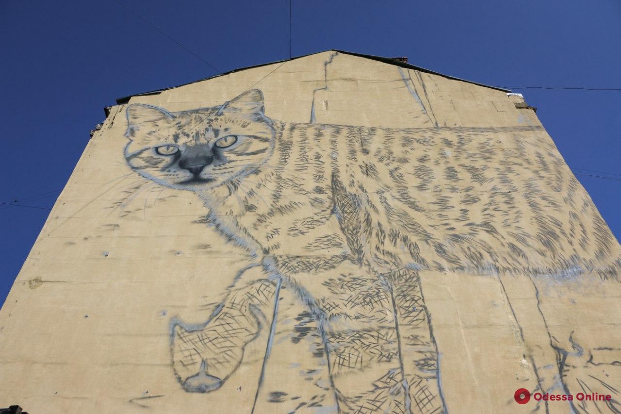 Коты повсюду: дом на Бунина украшают новым муралом (фотофакт)