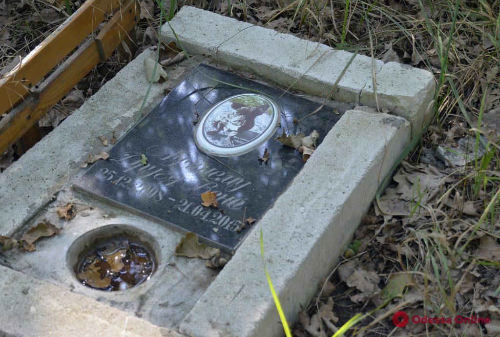Одесское кладбище домашних животных: вынужденная необходимость