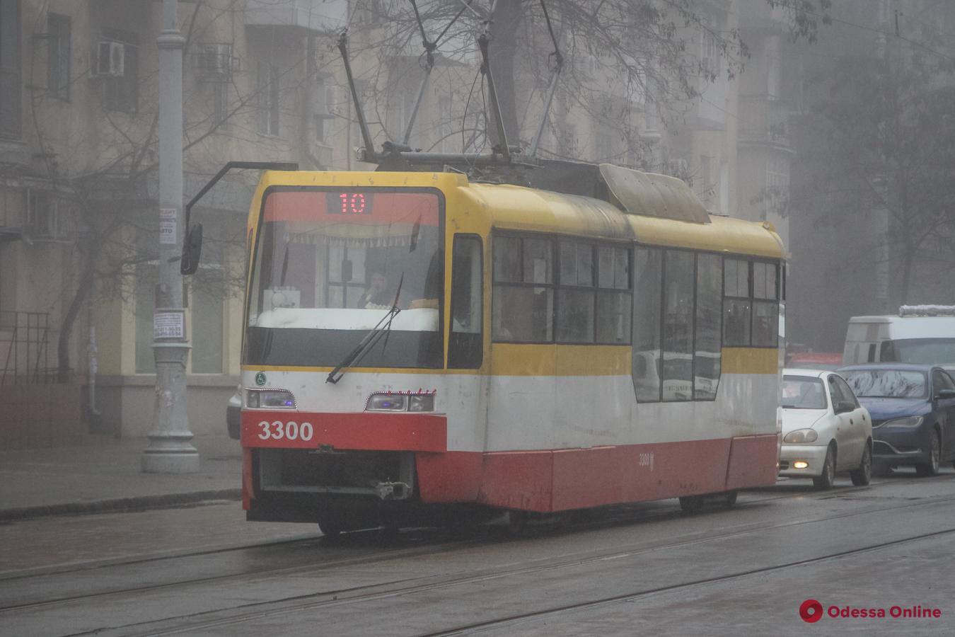 В Одессе упавшее дерево парализовало движение трамваев