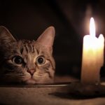 Одесса: некоторые жители центра, Ленпоселка и Таирова останутся без света