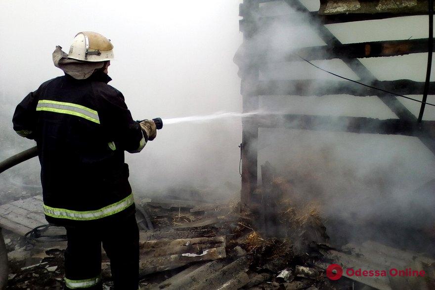В Одесской области огонь уничтожил 10 тонн сена