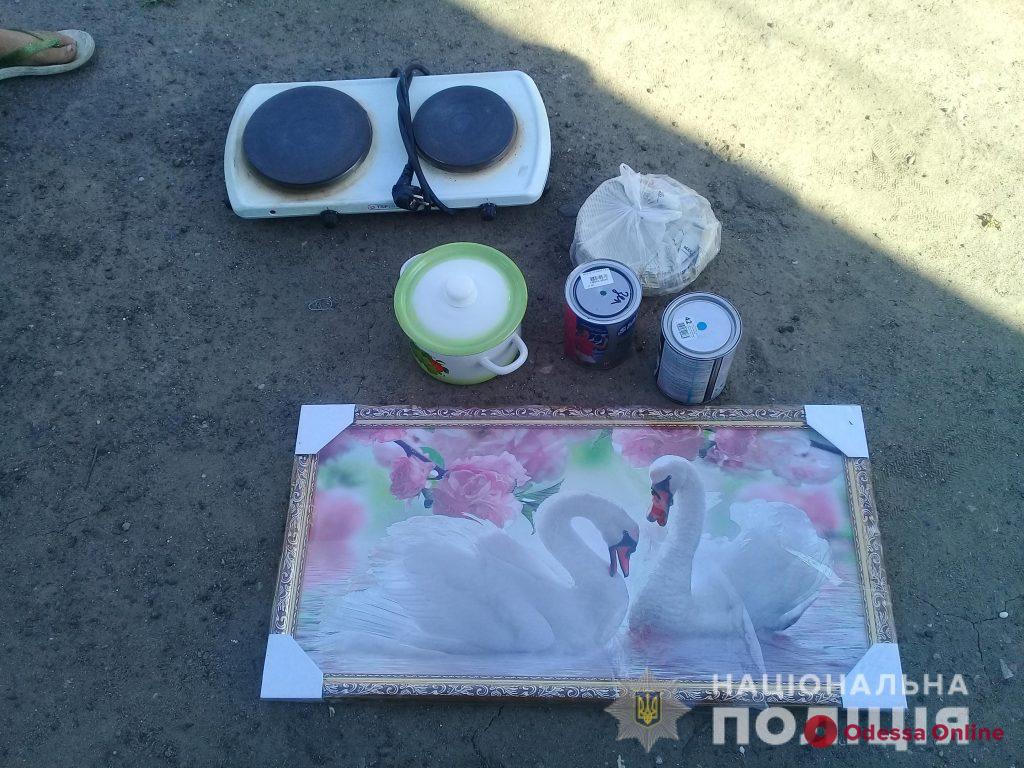 В Одесской области полиция задержала двух молодых воровок
