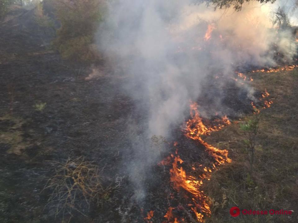 В Одесской области сгорели 2 гектара травы и кустарника