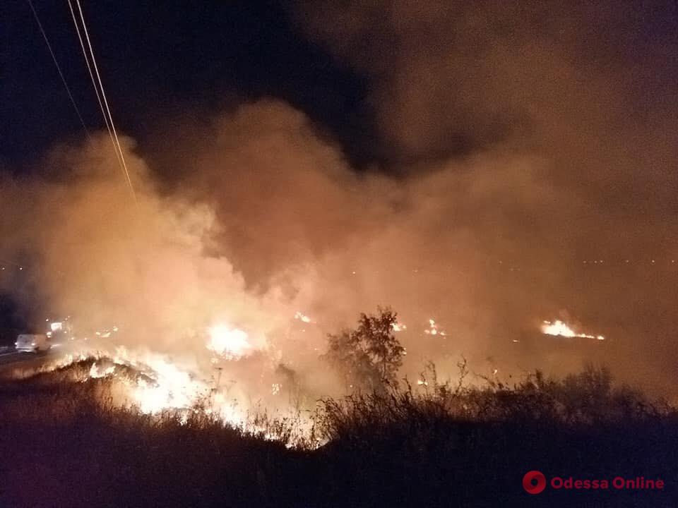 На побережье Куяльника тушили большой пожар (фото, видео)