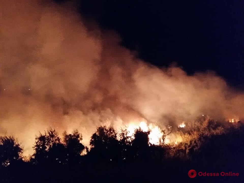 На побережье Куяльника тушили большой пожар (фото, видео)