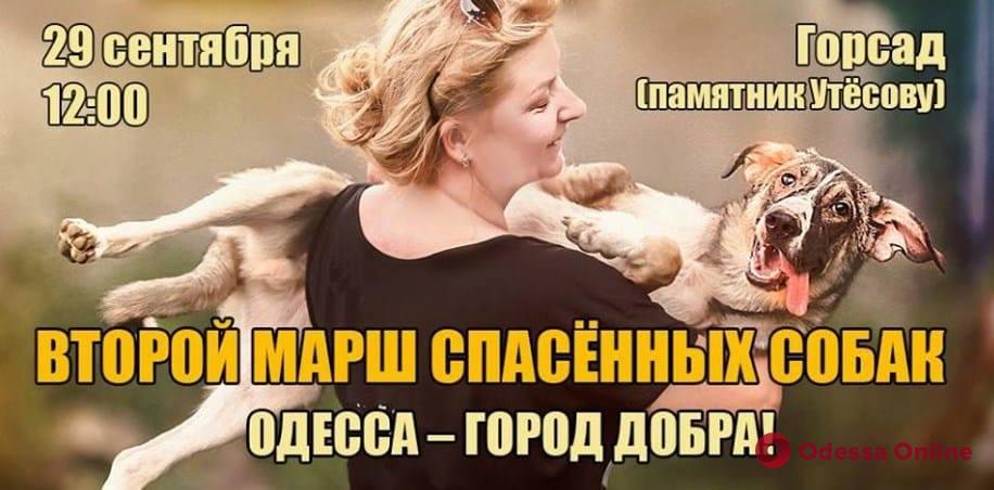 В Одессе пройдет второй марш спасенных собак