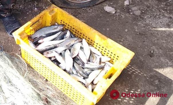Ночной рыбак: в Одесской области поймали браконьера