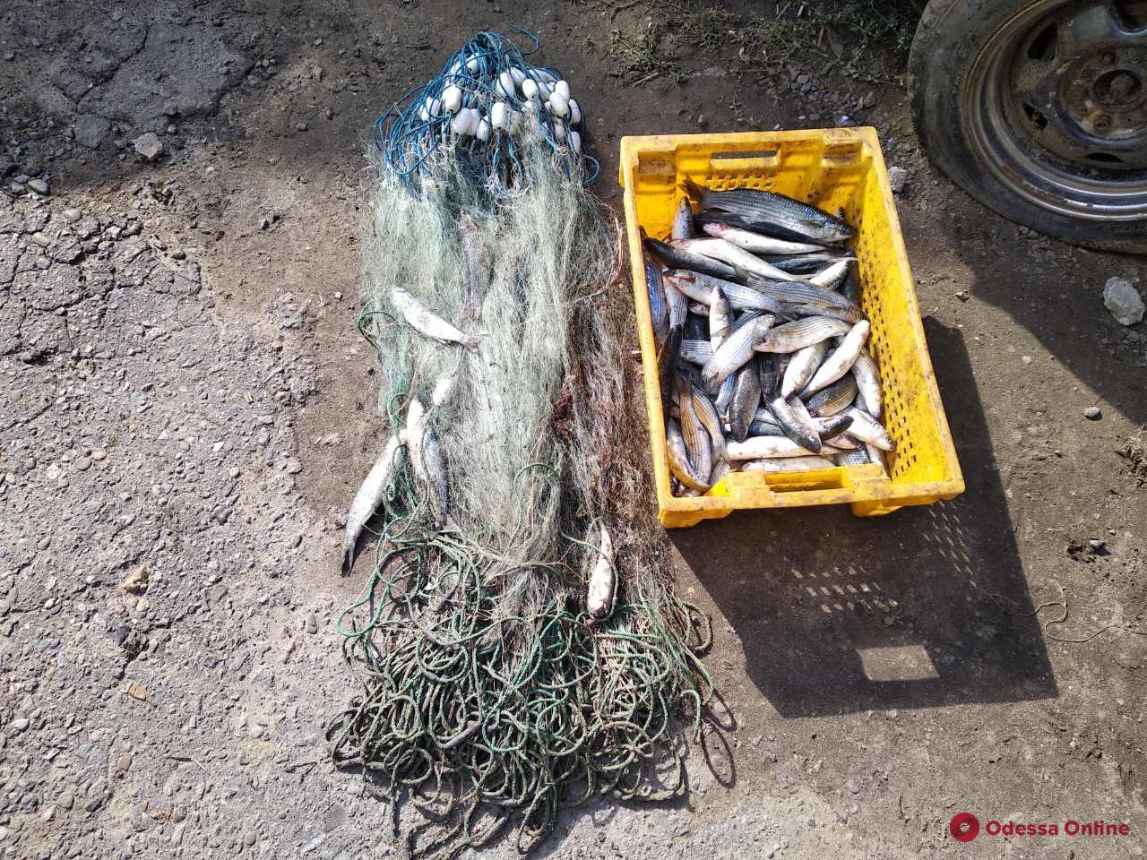 Ночной рыбак: в Одесской области поймали браконьера