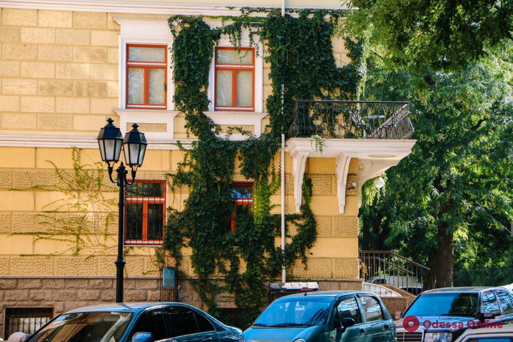 Зелёная Одесса: увитые плющом и виноградом дома (фото)