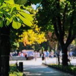 Бархатный сезон в Одессе (фоторепортаж)