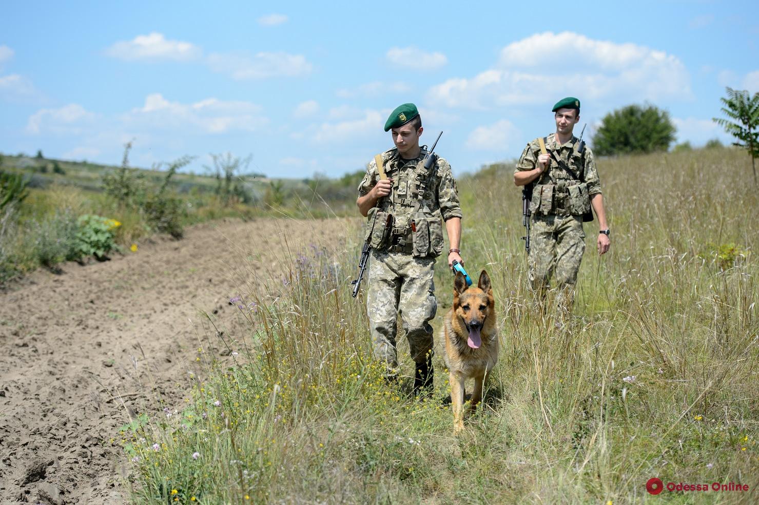 В Одесской области на границе с Молдовой задержали двух нарушителей