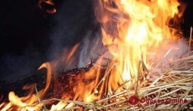 В Одесской области сгорело 11 тонн сена
