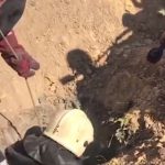 Одесские спасатели достали собаку из глубокой ямы