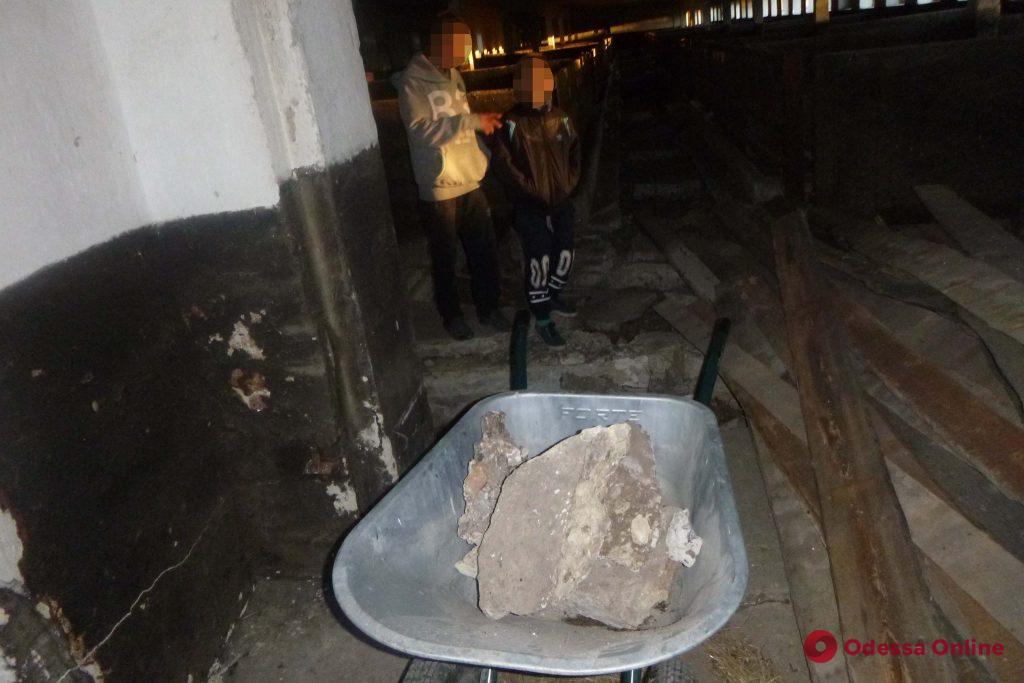 В Одесской области школьника заставляли таскать камни на свиноферме (фото)