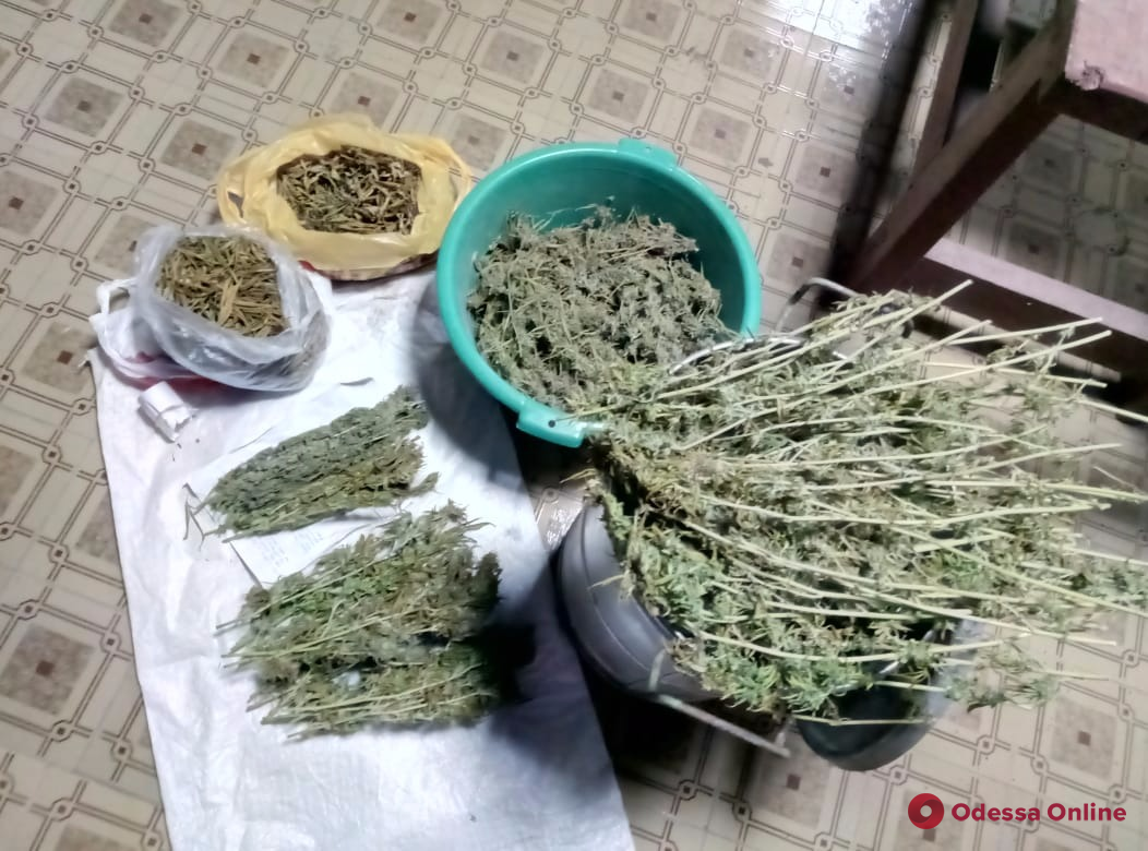 Одесская область: у общественника нашли килограмм марихуаны