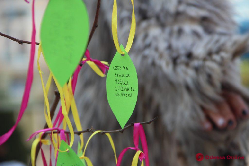 В Одесском зоопарке дети украшали осеннее дерево (фоторепортаж)