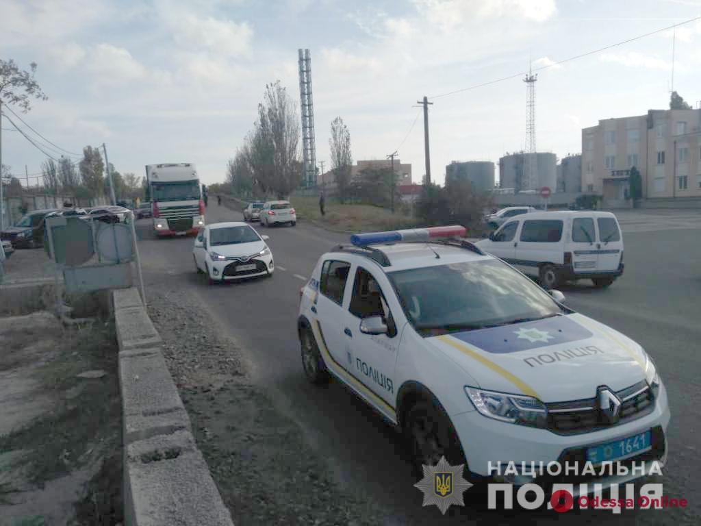 Фуру с овцами везут в Тульчин: активистам пообещали не усыплять здоровых животных