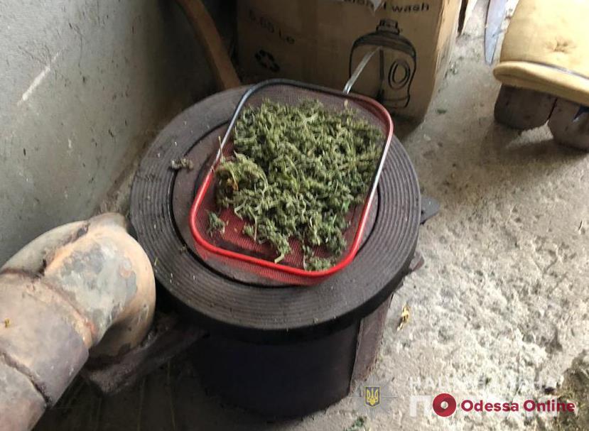 У жителя Болграда отобрали десятки килограммов марихуаны