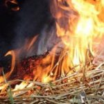 В Одесской области у жилого дома сгорел стог сена
