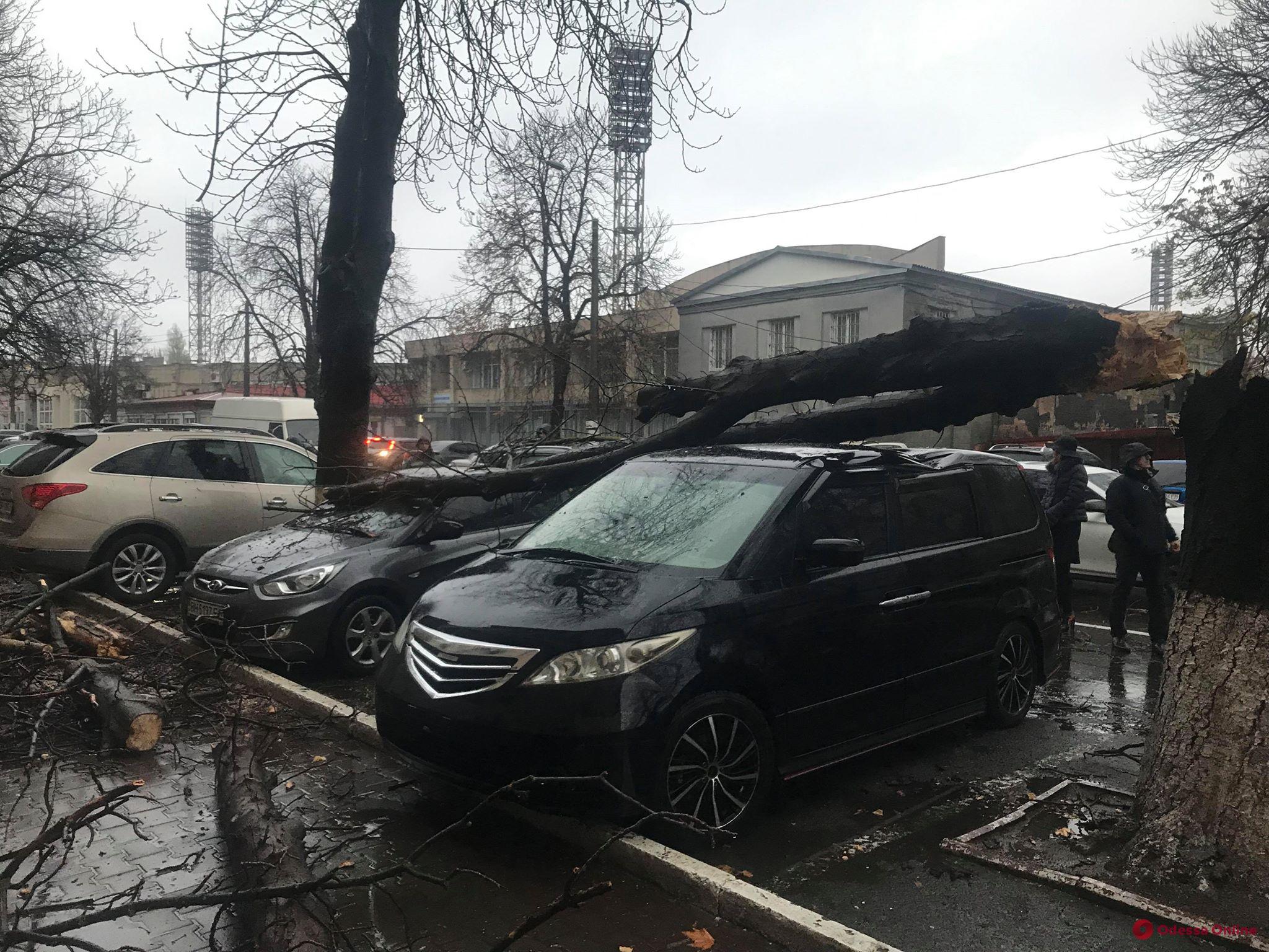 В Одессе ветка дерева упала на автомобиль активиста