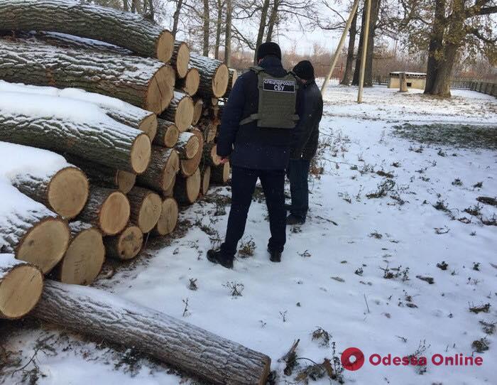 В Одесской области блокировали сбыт древесины на полтора миллиона гривен (фото)