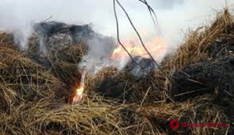 В Одесской области за ночь сгорели 200 тюков сена