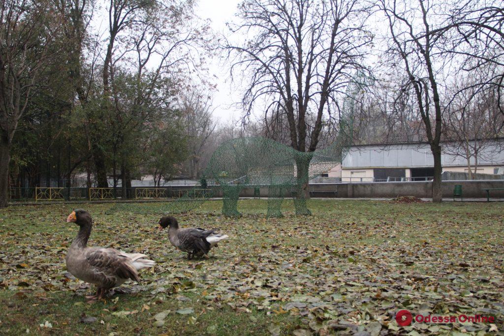 В Одесском зоопарке появился динозавр-призрак (фото)