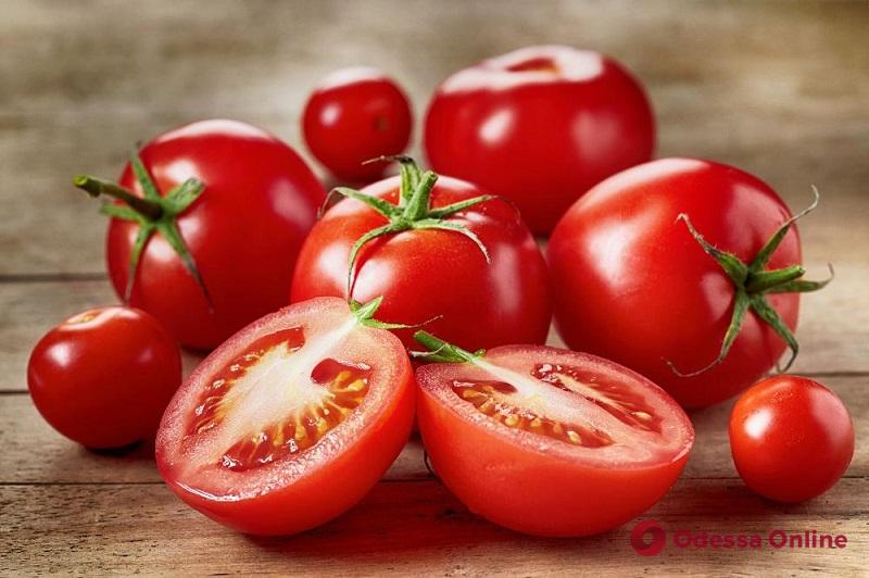 В Черноморский порт прибыли томаты с южноамериканской молью