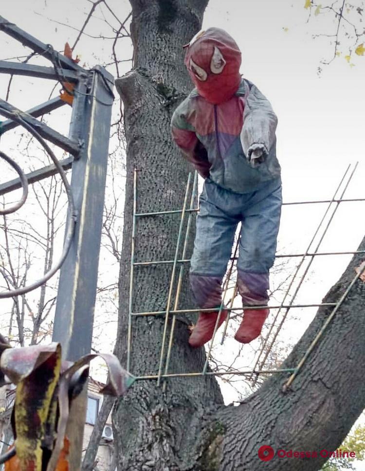 В Одессе замечен известный супергерой – Человек-паук (фотофакт)