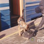 В Одессе блокпосты и стратегические объекты усилили кинологами со служебными собаками