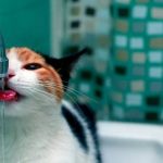 В пригородах Одессы на весь день отключат воду