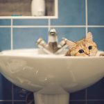 Некоторые одесситы до вечера остались без воды (обновлено)
