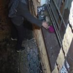 В Одессе кота Мориса оставили без шапочки