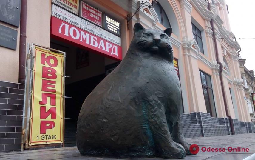 Одесскую кошку Базарину раздели во второй раз
