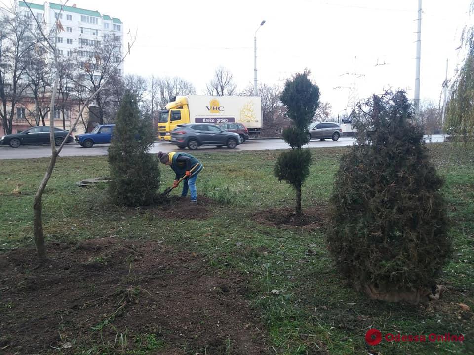 В Одессе с начала года высадили более тысячи деревьев