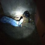 Ударил по голове и отобрал сумочку: в Одесской области поймали грабителя