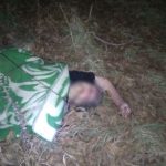 Завернут в одеяло и брошен у дороги: под Одессой нашли труп женщины-инвалида (осторожно, фото)