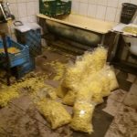 Одесса: нелегалы в антисанитарных условиях готовят продукты для точек по продаже шаурмы